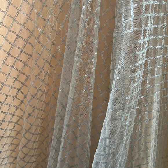 Prom Dress - Picture 3 of 6